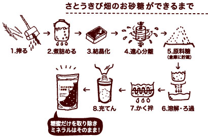 ミキ ライフサポート 商品詳細