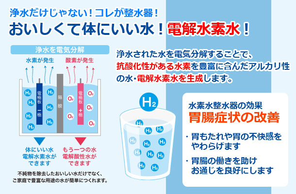 水素水整水器 / ミキ・ライフサポート